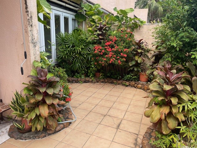 DBay Phase 1 - Beach - Seabird Lane