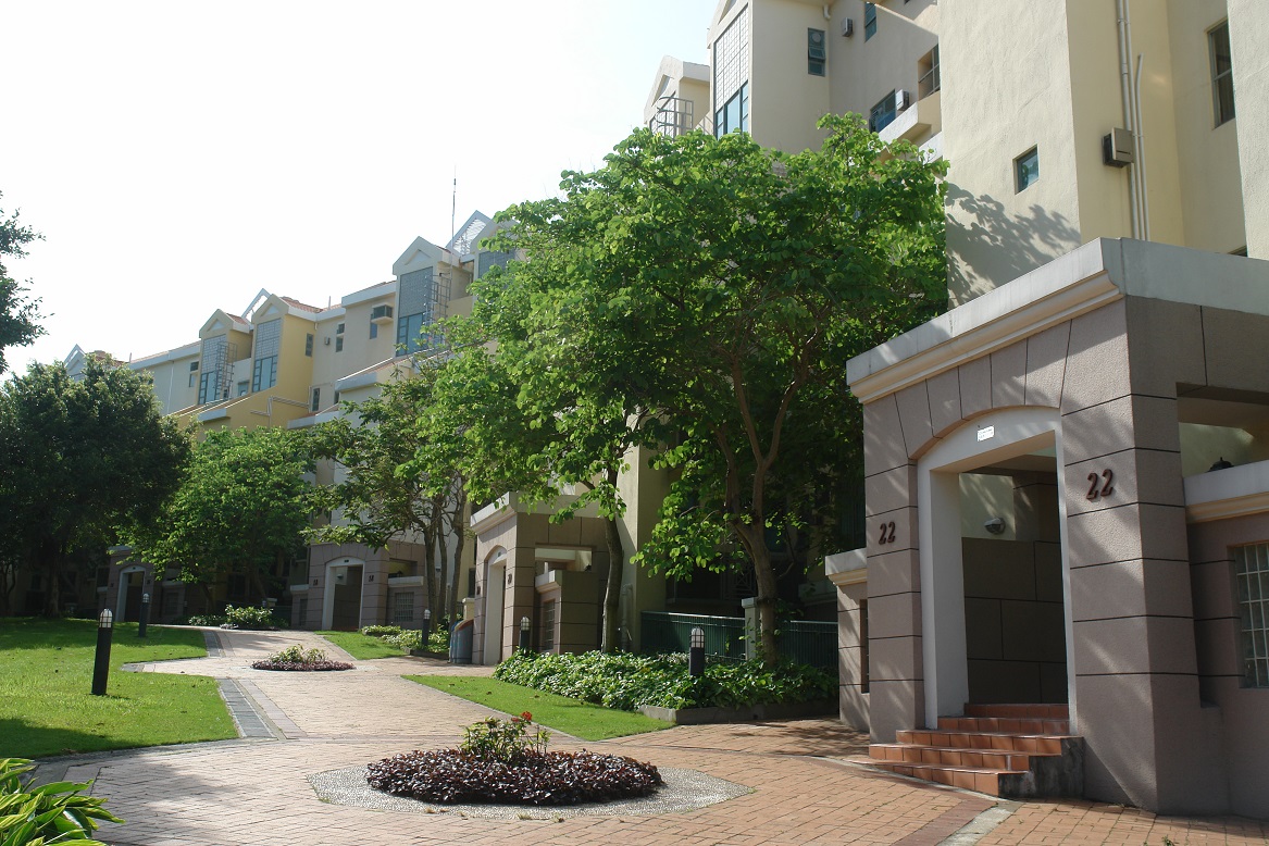 DBay Phase 8 - La Costa - La Costa